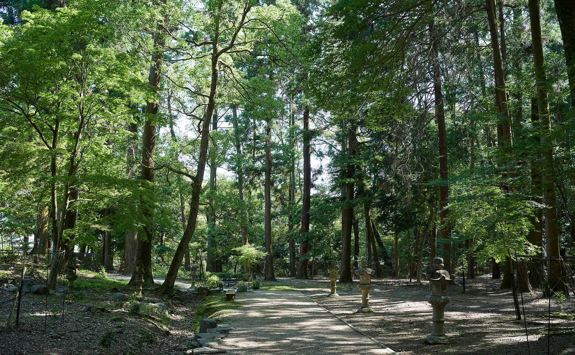 安祥寺の写真_02